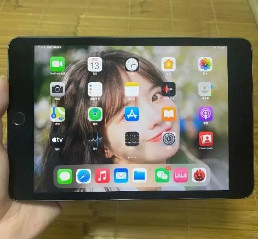 ipadmini5